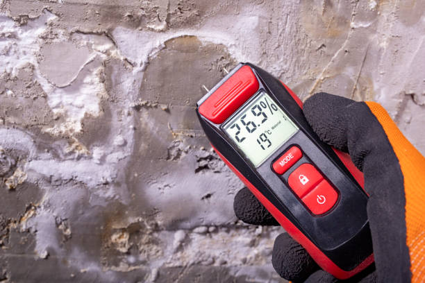 Best Local Mold Removal Service  in Mount Pleasant, TX